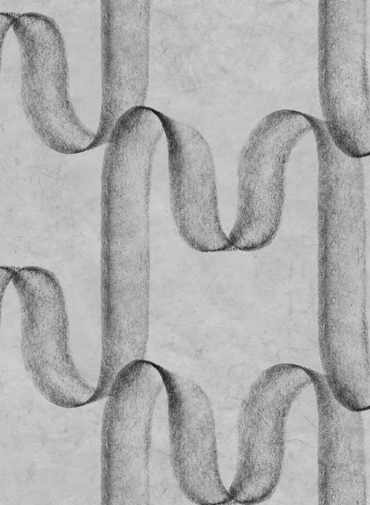 Coordonne Carta da parati Graphite - Coal