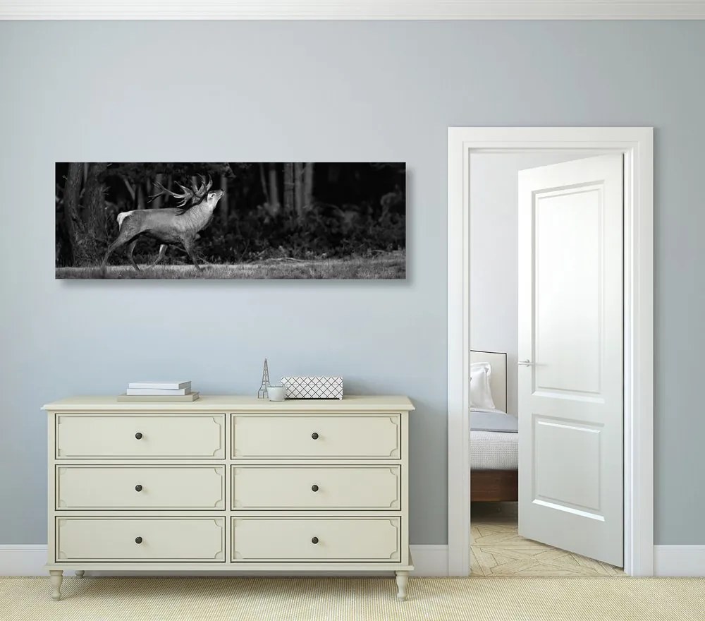 Quadro su tela – Cervo maestoso in bianco e nero
