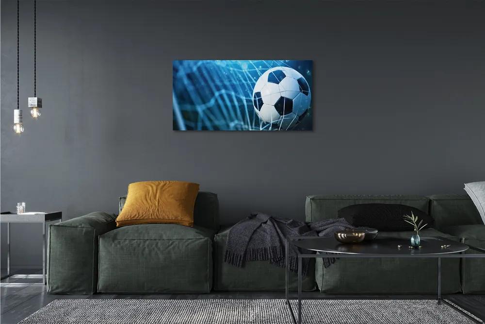 Stampa quadro su tela Palla di gate di sfondo blu 100x50 cm