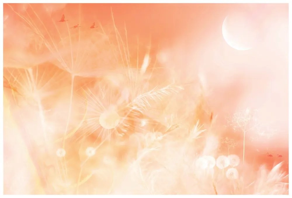 Carta da parati – Soffione al sorgere del sole Peach Fuzz