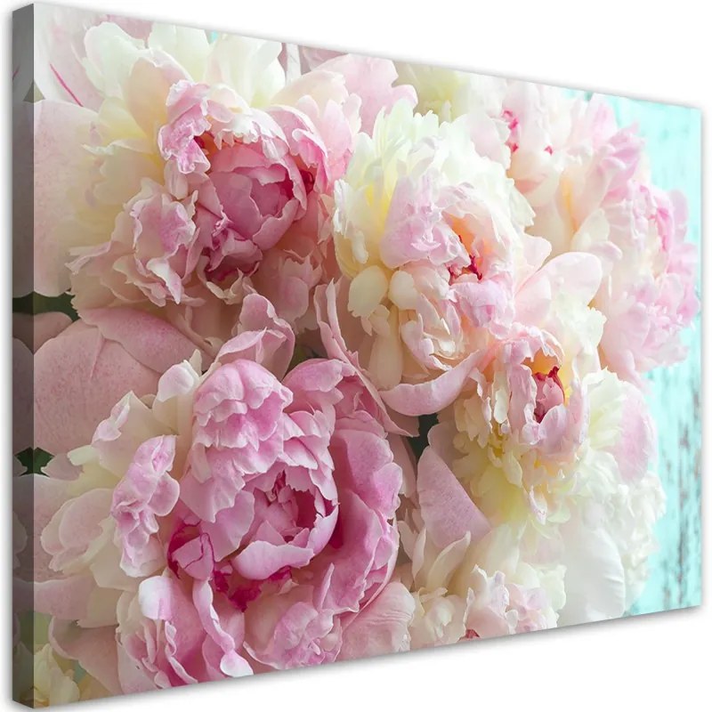 Quadro su tela, Fiori di peonia rosa  Dimensioni 120x80