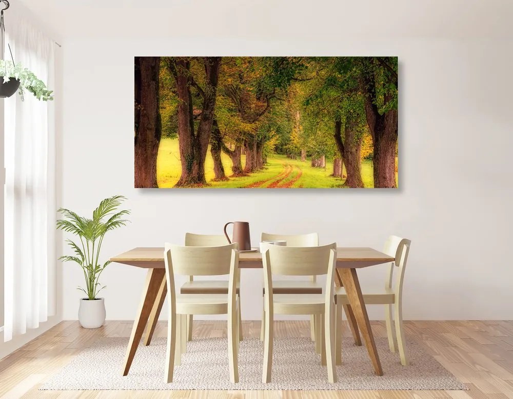 Quadro su tela – Sentiero nella foresta autunnale