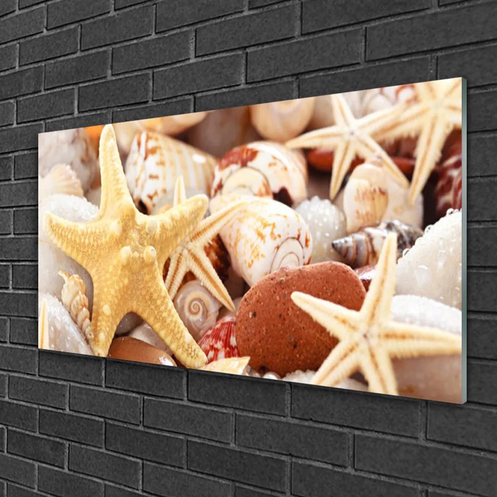 Quadro vetro Conchiglie di stelle marine sulla spiaggia 100x50 cm