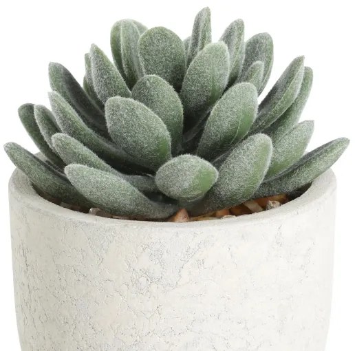 Eglo 428011 - Pianta artificiale in vaso CHITOSE 11x8 cm succulenta