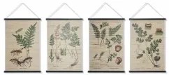 Tela DKD Home Decor Fiori 60 x 2 x 90 cm Cottage (4 Pezzi)