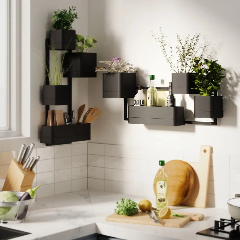 Vasi di plastica sospesi per erbe aromatiche in set di 4 pezzi Cubiko - Umbra