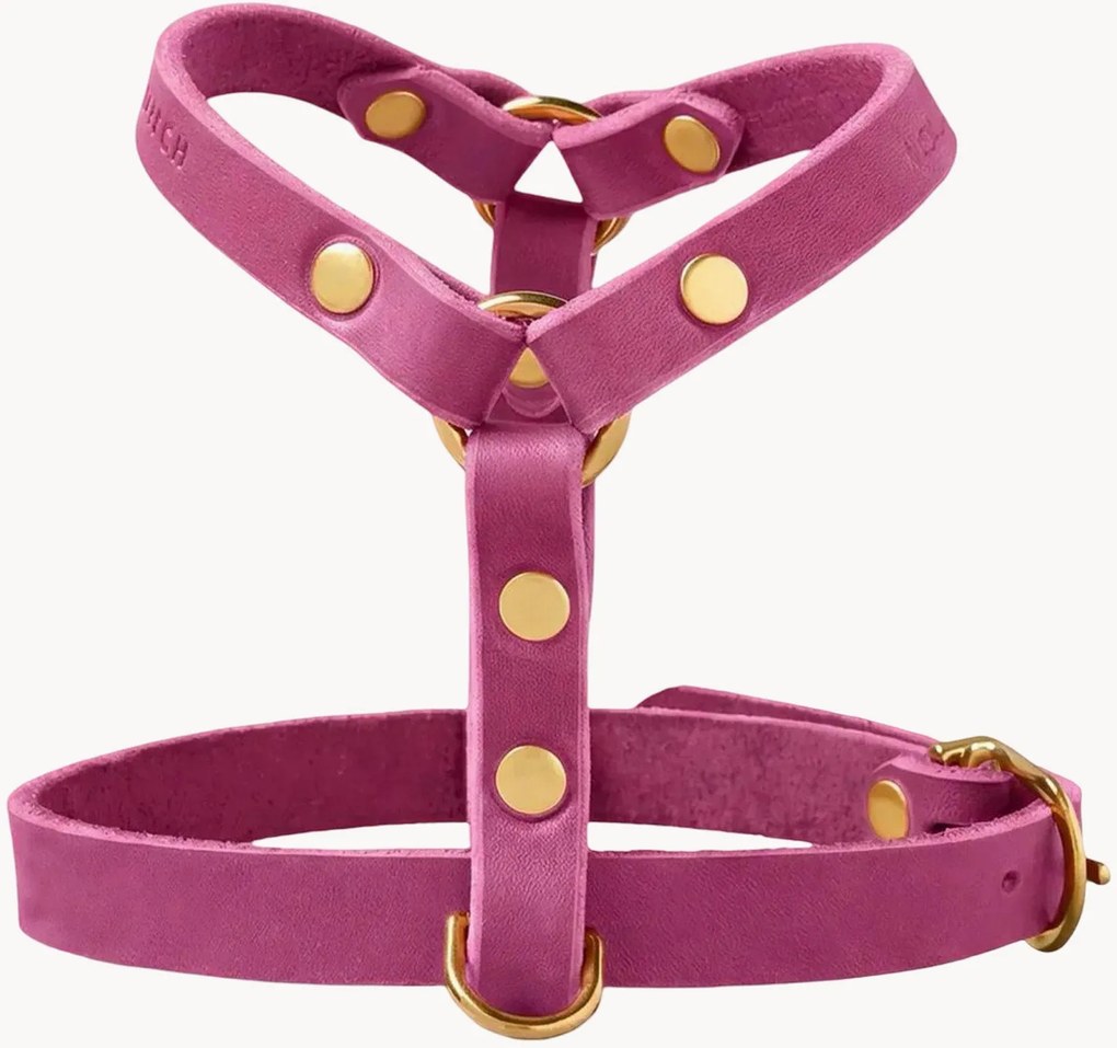 Imbracatura per cani in pelle Y-Harness, varie misure