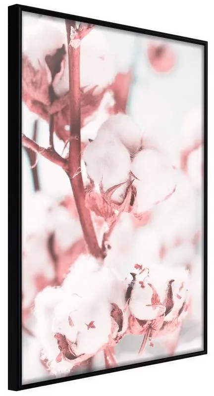 Poster Cotton Flowers