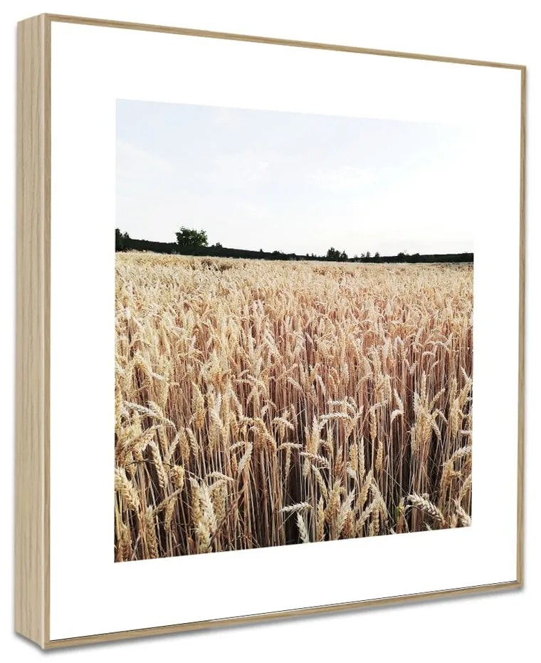 Quadri in set di 4 pezzi 30x30 cm Aesthetic - knor