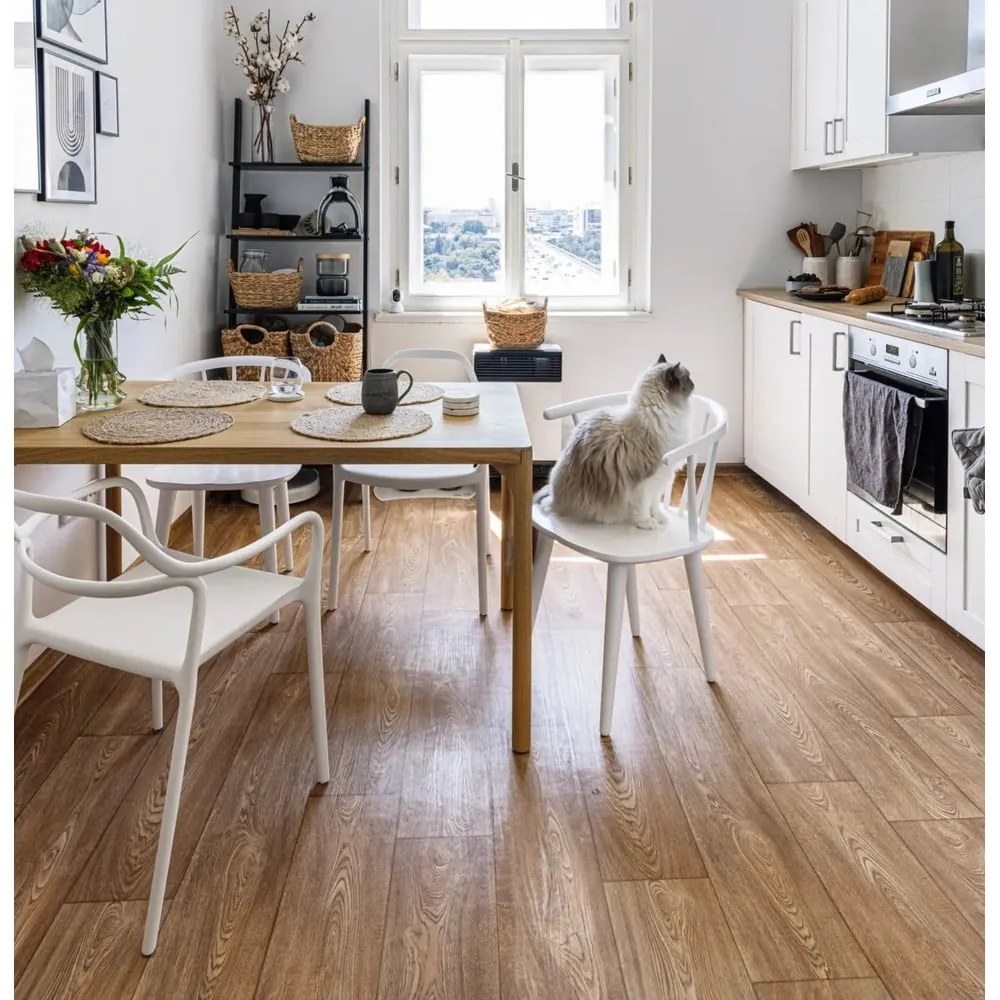 Set di 2 sedie da pranzo bianche Chaur Dali - Bonami Selection