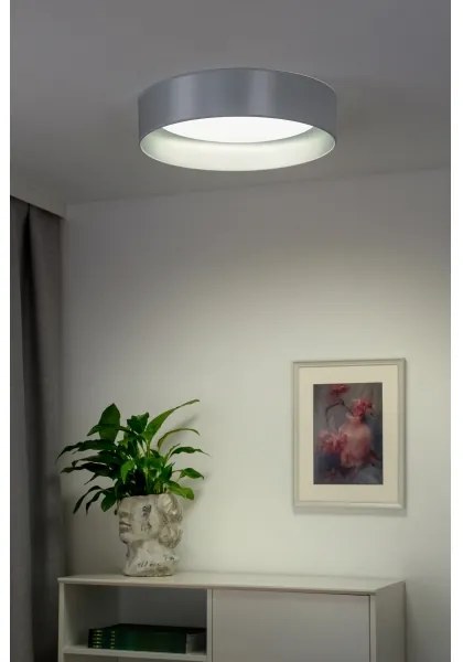 Duolla - Plafoniera LED ROLLER LED/24W/230V diametro 45 cm argento