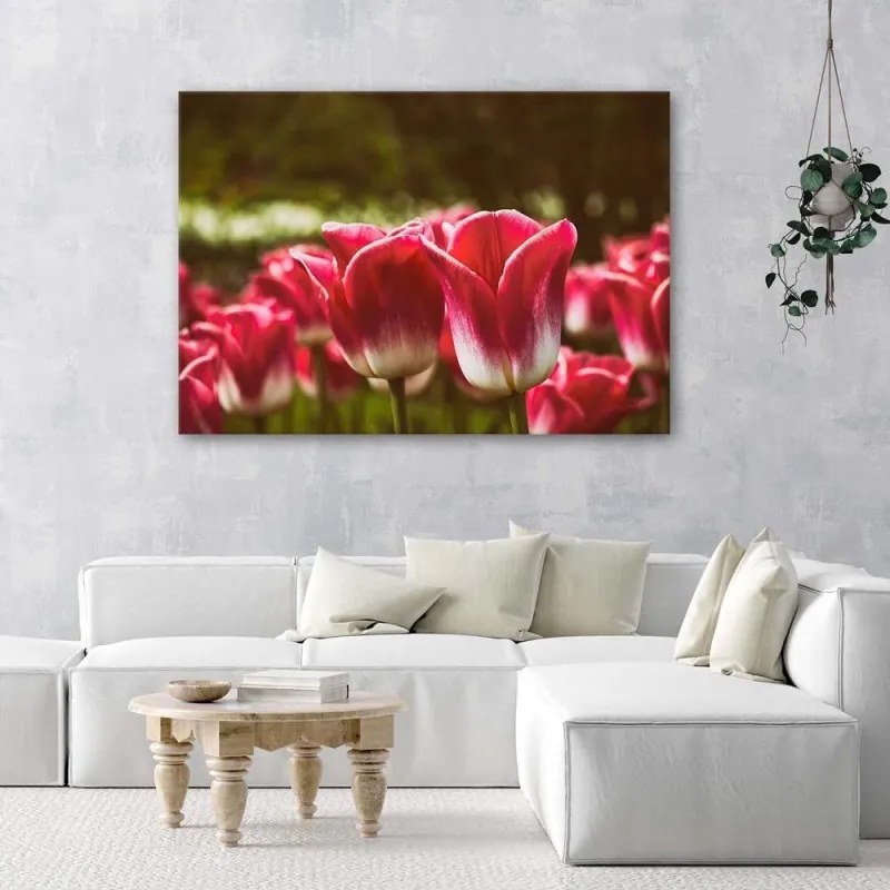 Quadro su tela, Fiore di tulipano rosso  Dimensioni 100x70