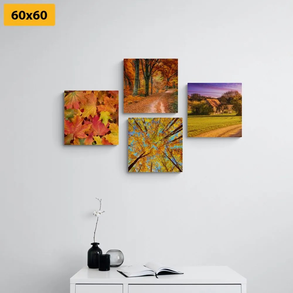 Set di quadri – Natura in colori autunnali