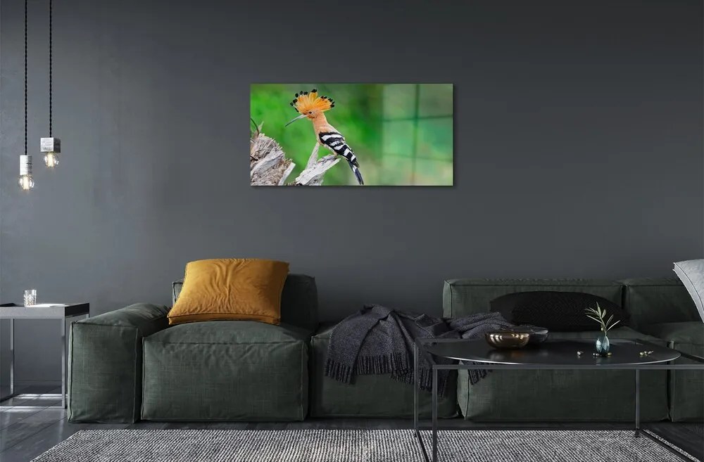 Quadro in vetro Pappagallo color albero 100x50 cm 2 appendini