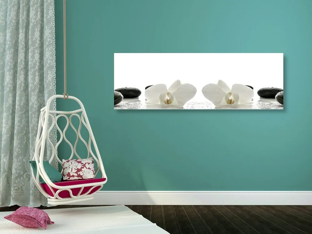 Quadro su tela – Fiori bianchi di orchidea
