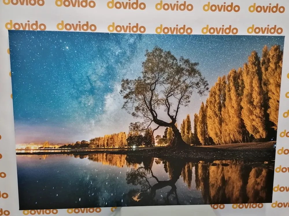 Quadro su tela – Albero sotto il cielo stellato