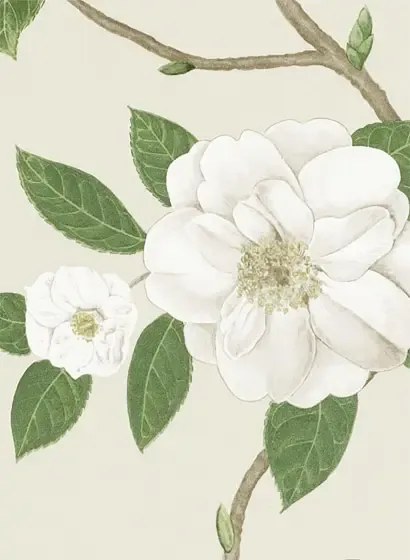 Sanderson Carta da parati Christabel - Ivory/ Cream