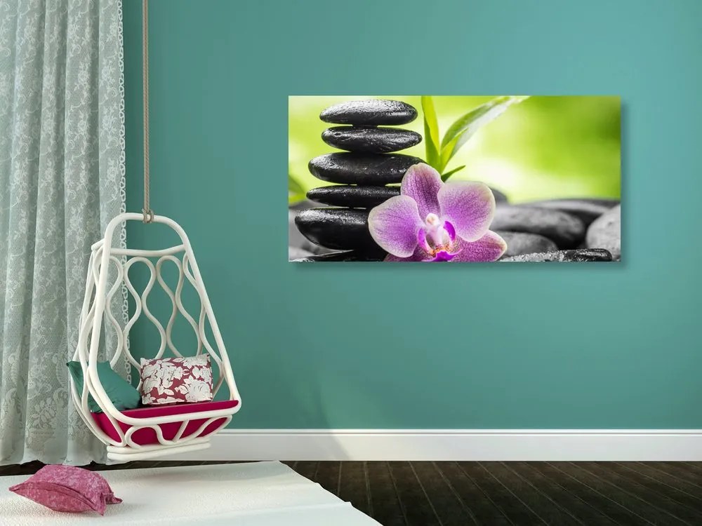 Quadro su tela – Composizione Zen tropicale