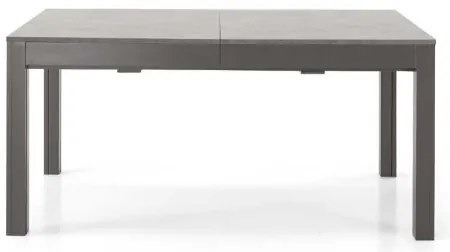 Tavolo in legno allungabile a 320 cm 12 posti FABIO Cemento