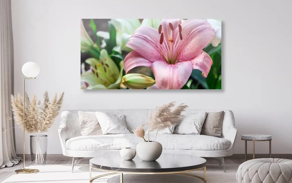 Quadro su tela – Giglio rosa in fiore