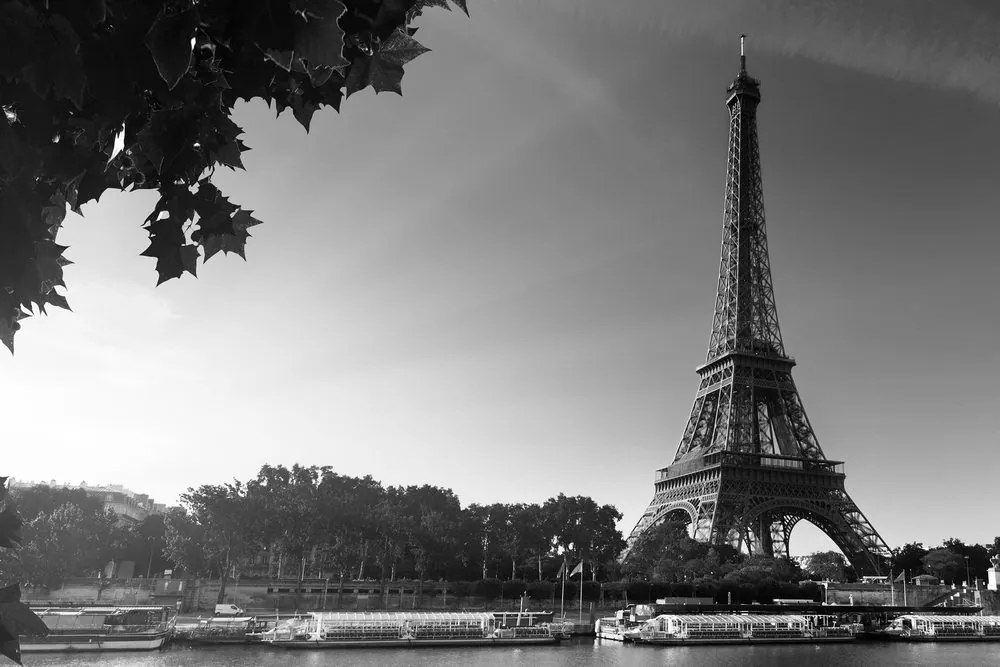 Quadro su tela – Parigi in autunno in bianco e nero