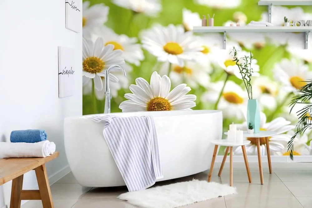 Carta da parati – Prato primaverile pieno di fiori