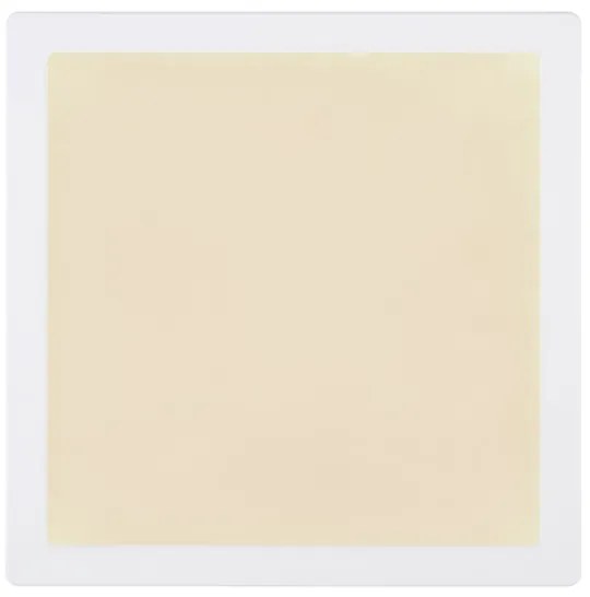 Globo 12380-24W - Plafoniera LED LASSE LED/24W/230V 3000/4000/6500K bianco