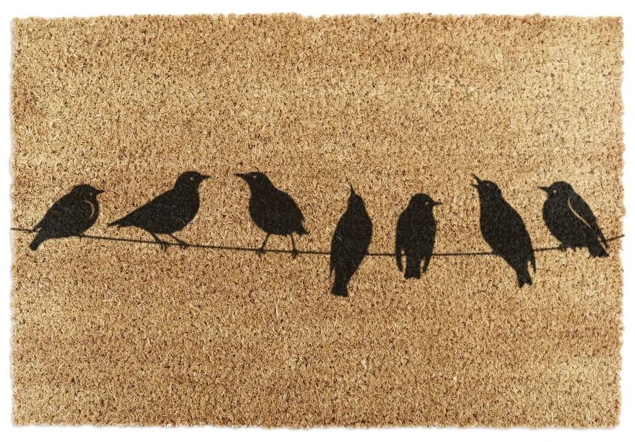 Zerbino in fibre di cocco 60x90 cm Birds On a Wire – Artsy Doormats