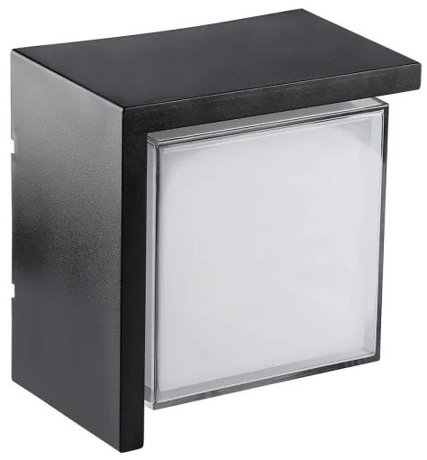 LED Applique da esterno LED/12W/230V IP65