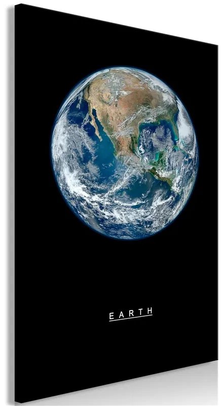 Quadro  Earth (1 Part) Vertical  Colore Bianco, Dimensioni e Misure 60x90