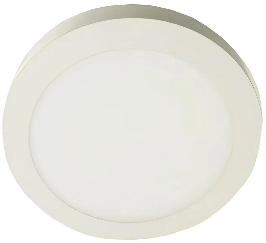 Plafoniera LED GERRIT LED/12W/230V 4000K bianco