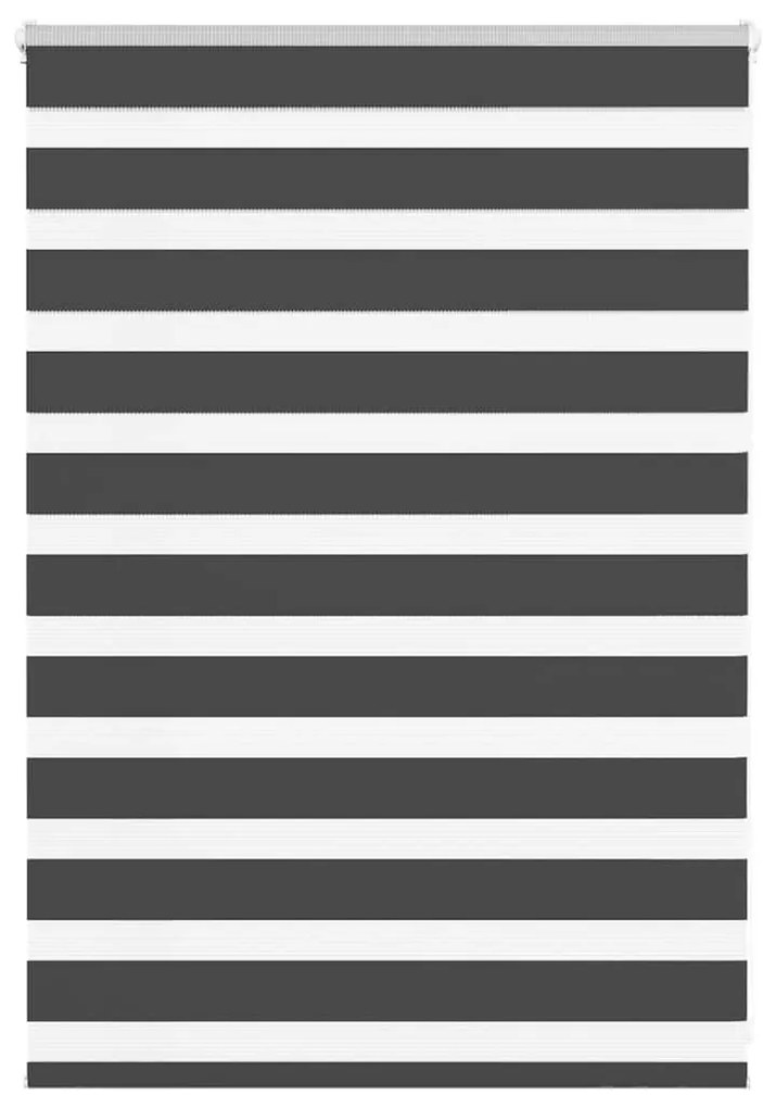 Tenda A Rullo Zebra Nero Larghezza Tessuto 100,9 Cm Poliestere /