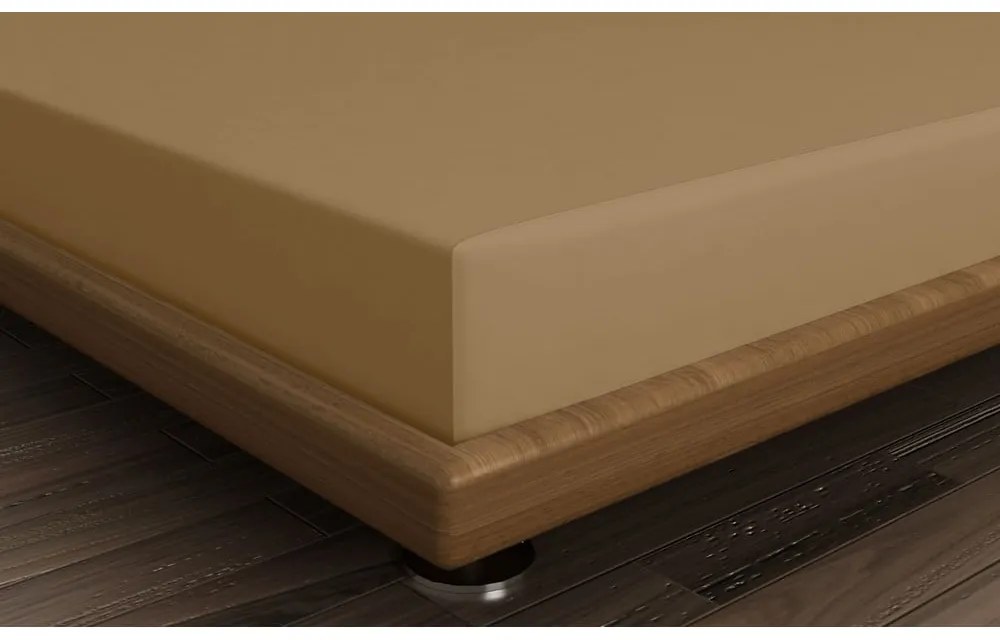 Lenzuolo con angoli marrone in cotone 140x200 cm – Mijolnir