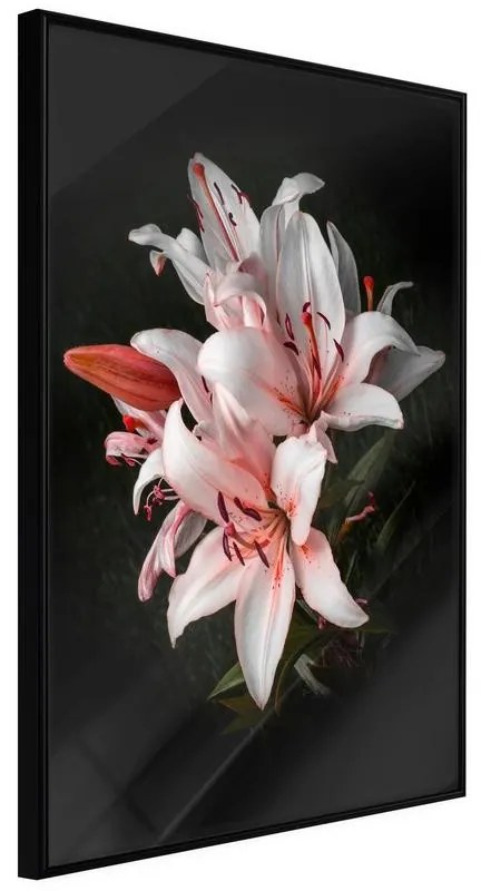 Poster  Pale Pink Lilies  Cornice Quadri Cornice nera, Larghezza x Altezza Home decor 20x30