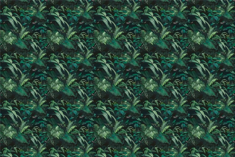 Carta da parati – Foresta pluviale verde fitta