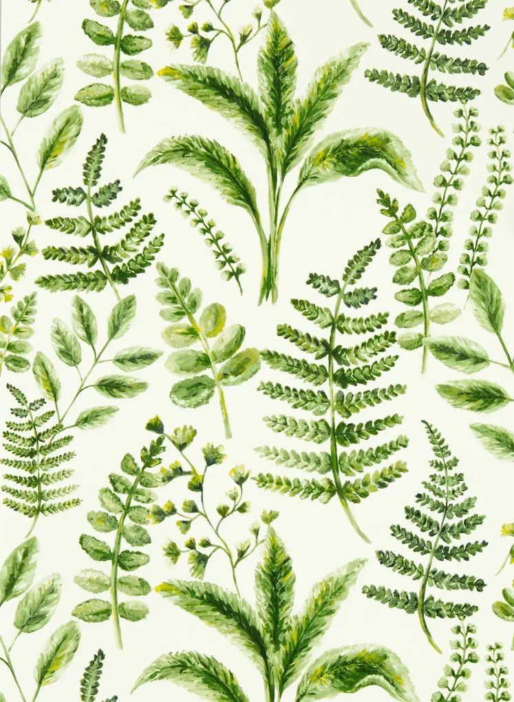 Clarke & Clarke Carta da parati Bracken - Forest