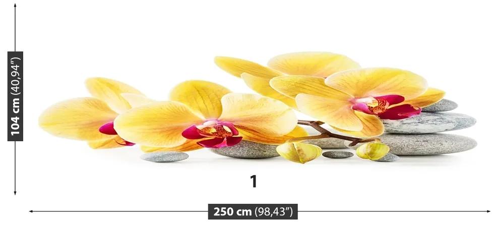 Carta da parati Orchidea gialla 104x70 cm