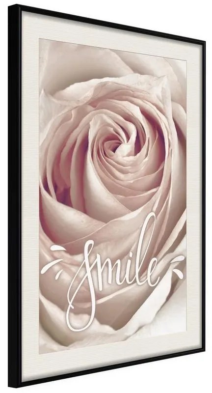 Poster  Rose with a Message  Cornice Quadri Cornice nera con pass-partout, Larghezza x Altezza Home decor 40x60