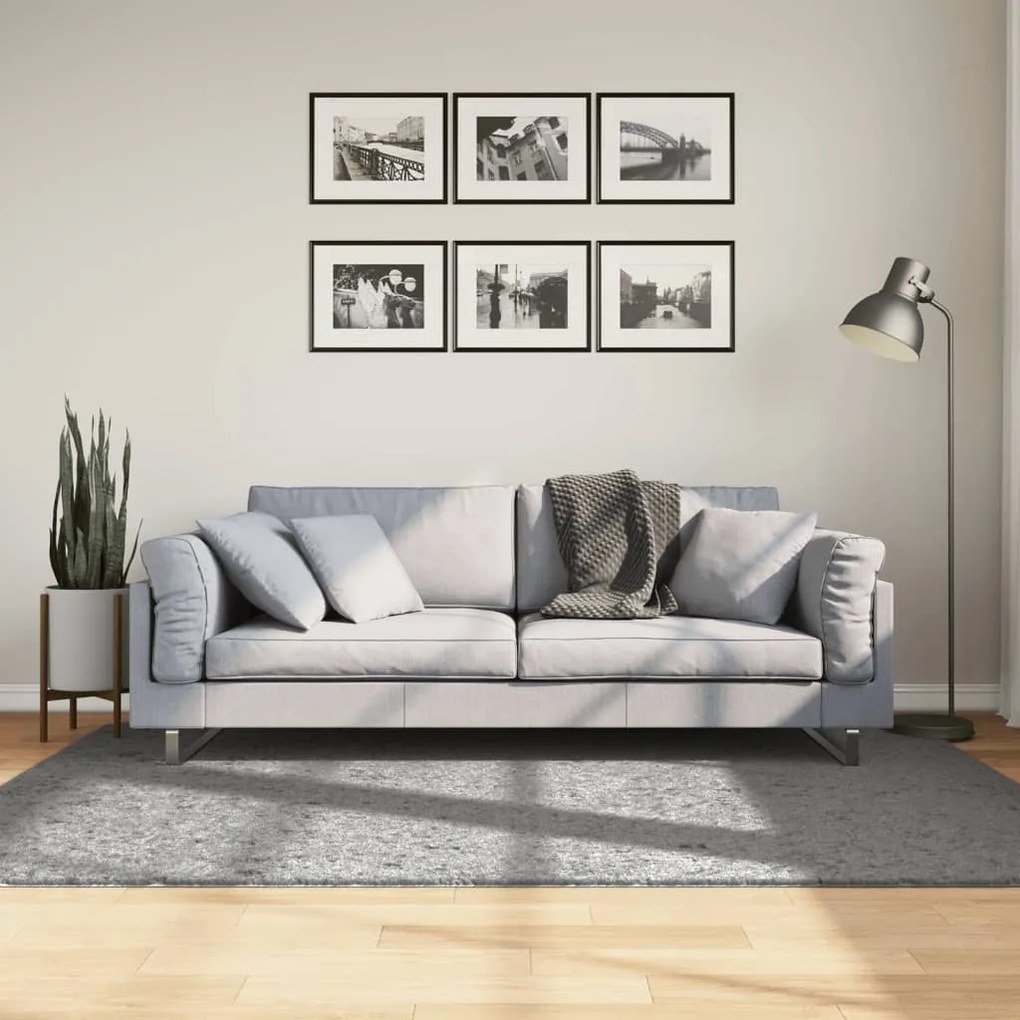 Tappeto Shaggy Pamplona A Pelo Lungo Moderno Grigio 140x200 Cm /