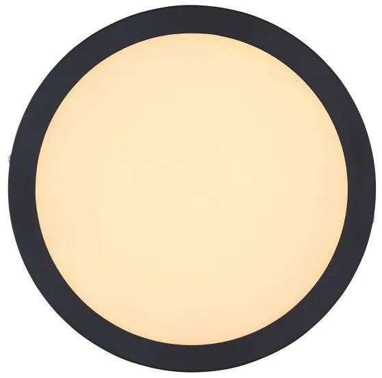 Globo 12374-24R - Plafoniera LED DINO LED/22W/230V