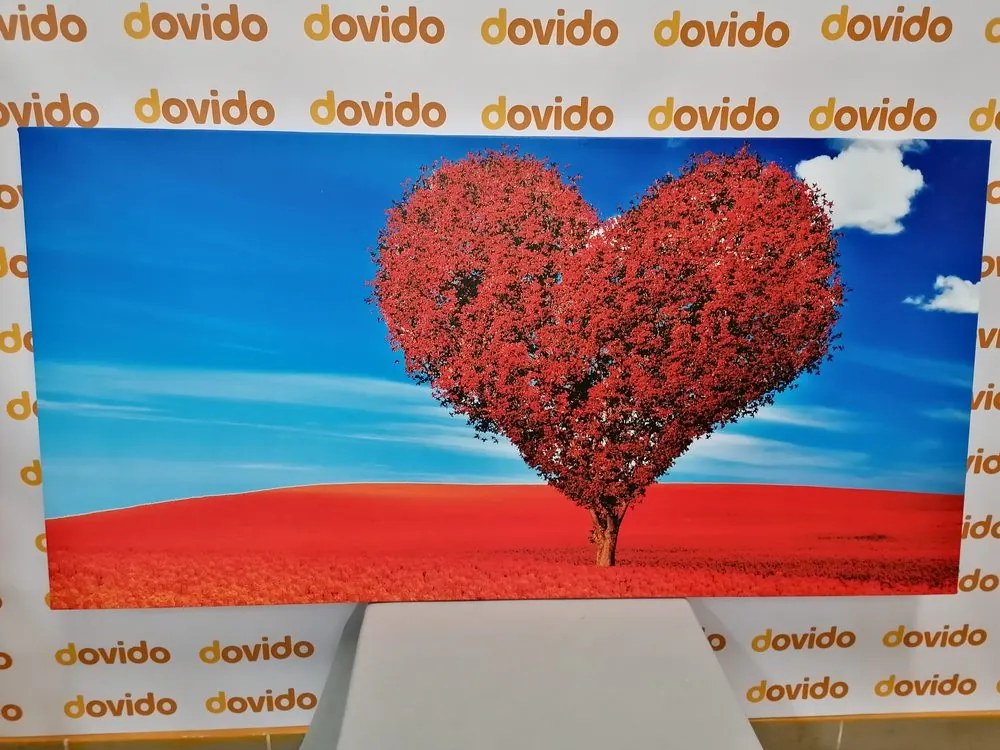 Quadro su tela – Albero stupendo a forma di cuore