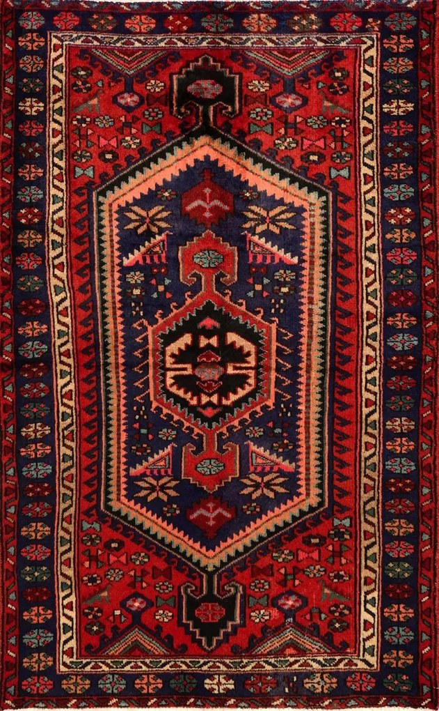 Hamedan Tappeto 130x220 (Iran)