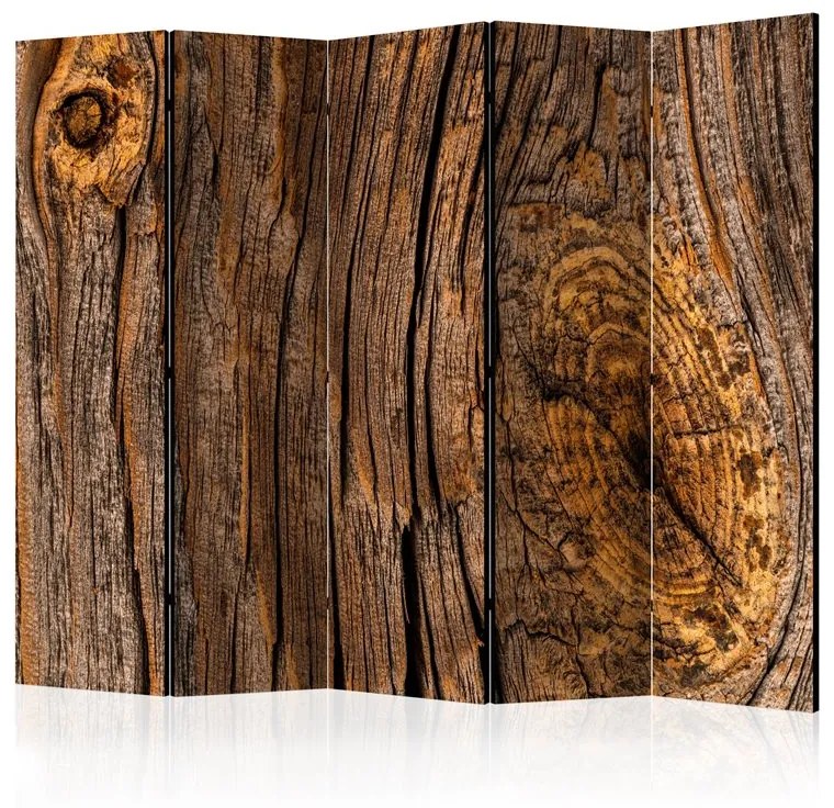 Paravento  Old Tree II [Room Dividers]  Colore ---, Dimensioni e Misure 225x172