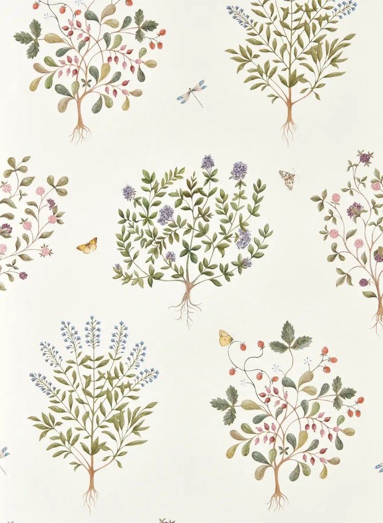 Sanderson Carta da parati Thyme Walk - Damson & Quince