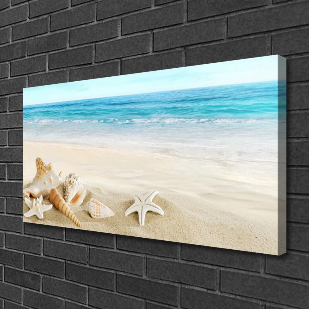 Stampa quadro su tela Stelle marine di conchiglie 140x70 cm