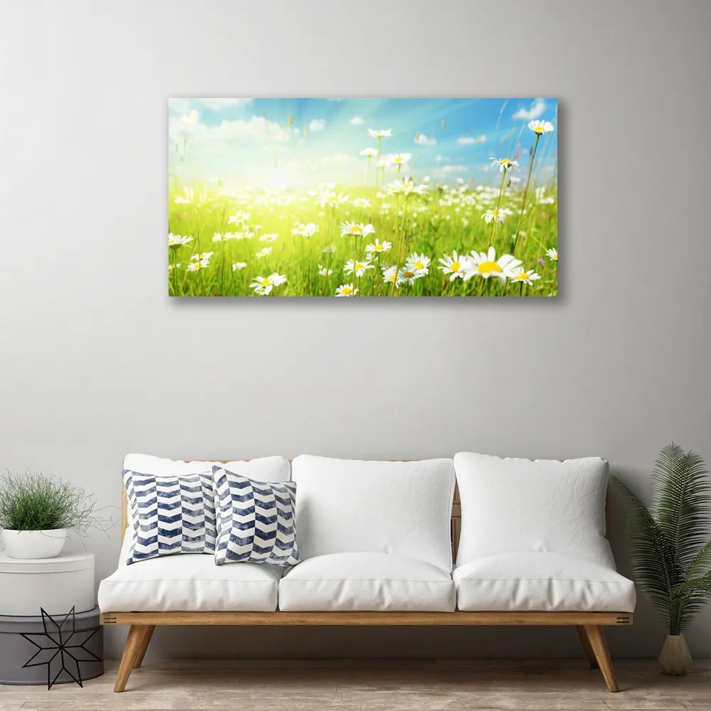 Quadro su tela Prato Daisy Natura 100x50 cm