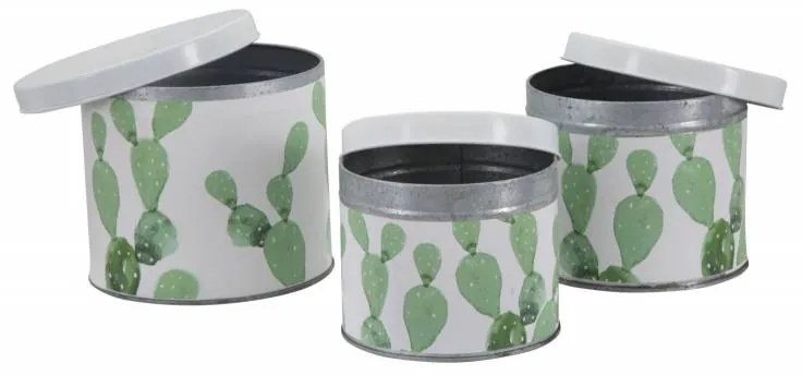 Cofanetti In Latta Cactus Set 3 Pz Cm   15X13,5-14X11,5-12,5X10