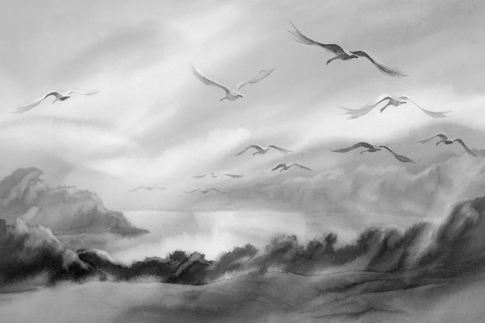 Carta da parati – Volo di uccelli in bianco e nero