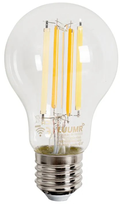 Set di 5 lampadine LED E27 dimmerabili Smart A60 trasparenti 7W 806 lm 2700-6500K