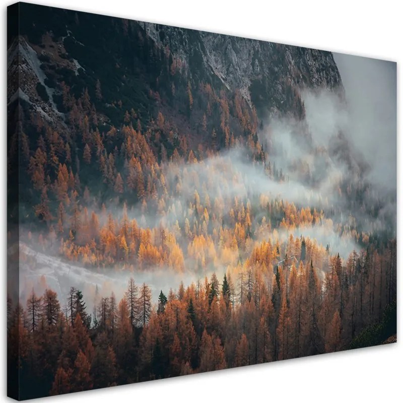 Quadro su tela, Foresta nella nebbia  Dimensioni 120x80